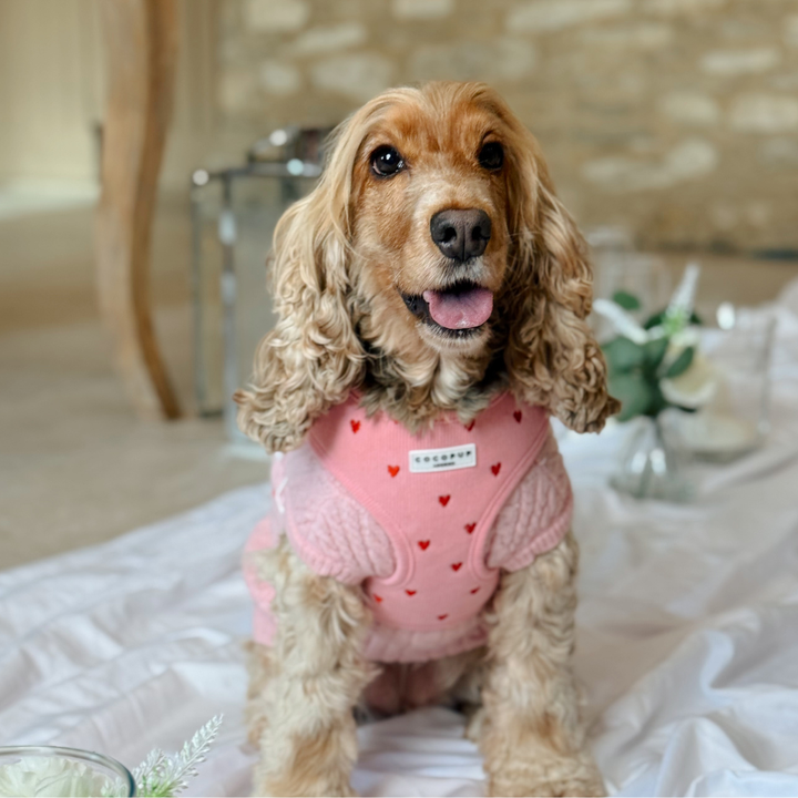 Jumper - Cable Knit Pink Heartstrings