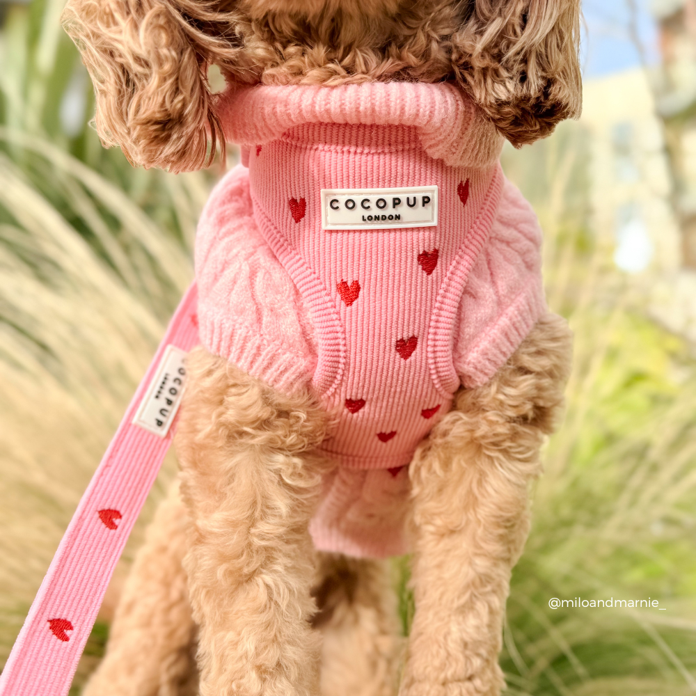 Pink Heartstrings Cord Adjustable Neck Harness, Lead & Collar Bundle