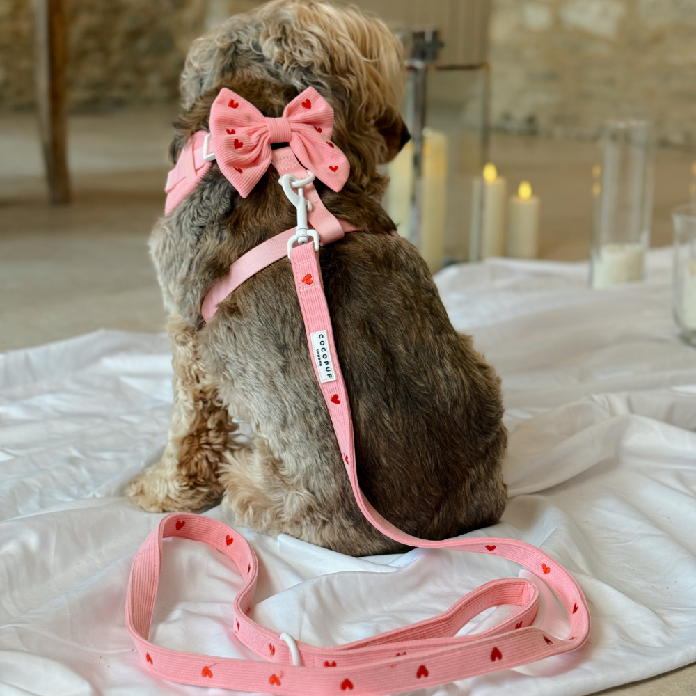 Pink Heartstrings Cord Lead