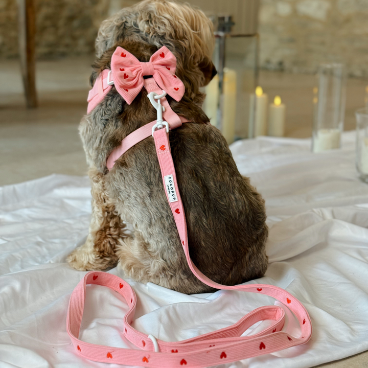 Pink Heartstrings Cord Lead