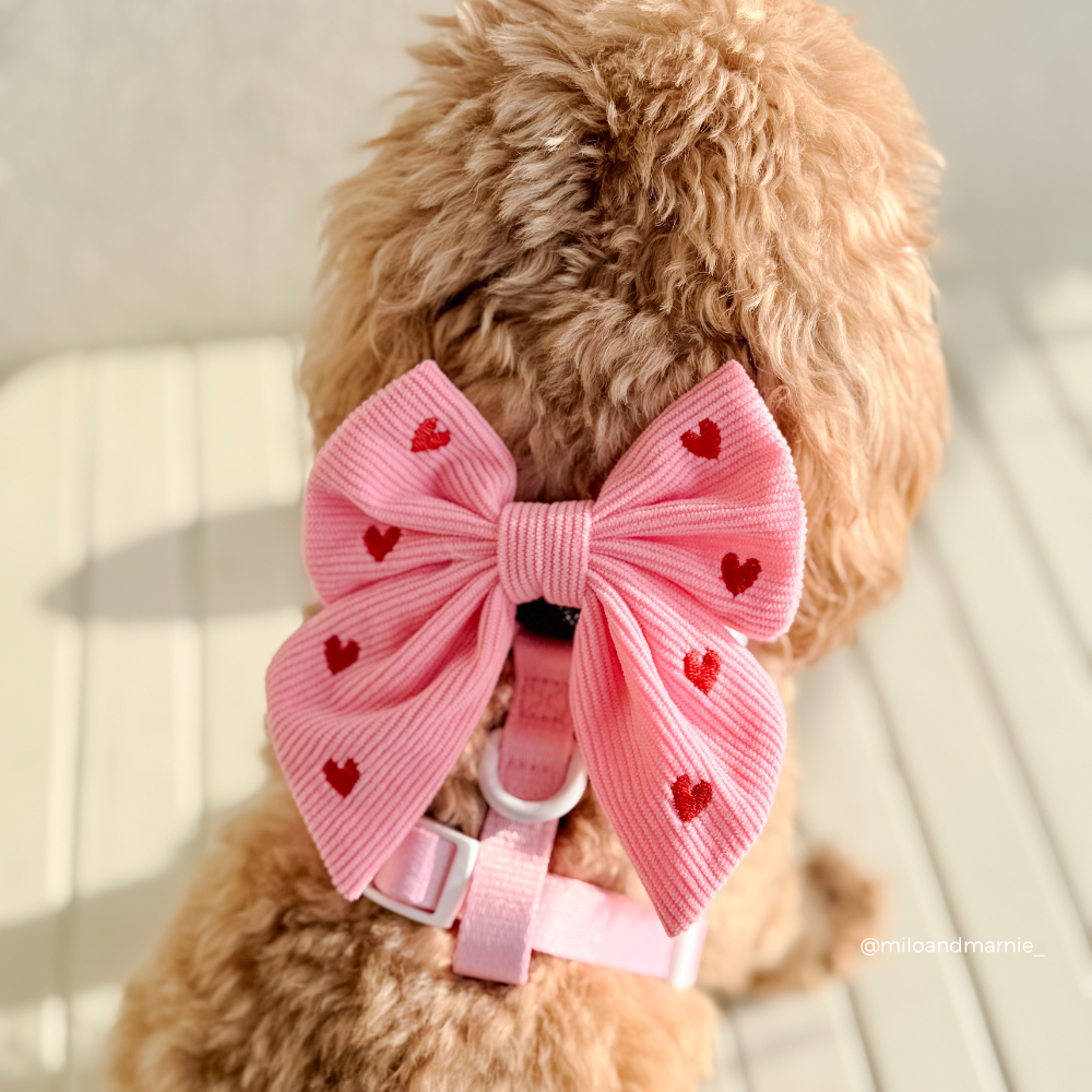 Pink Heartstrings Cord Sailor Bow Tie