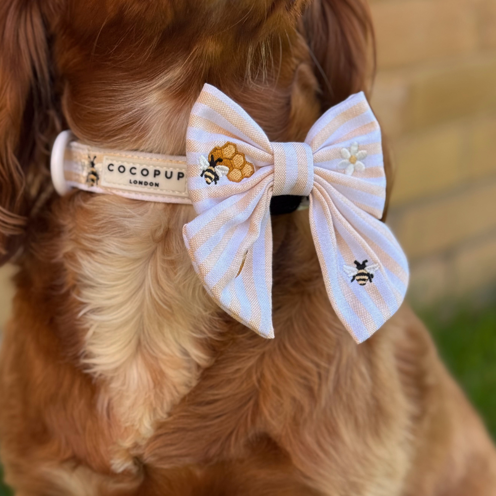 Honey Meadow COLLAR