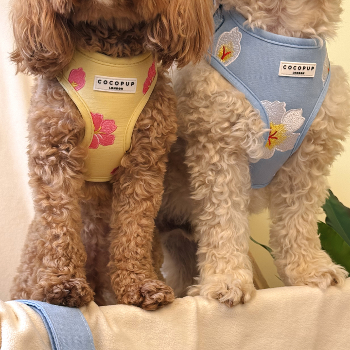 Pink Hibiscus Adjustable Neck Harness, Lead & Collar Bundle