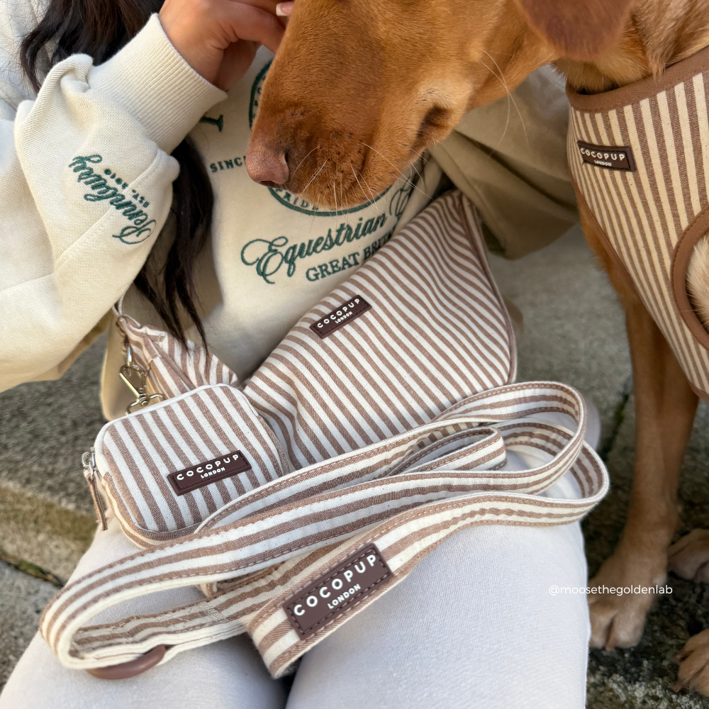 London Linen Stripes Lead