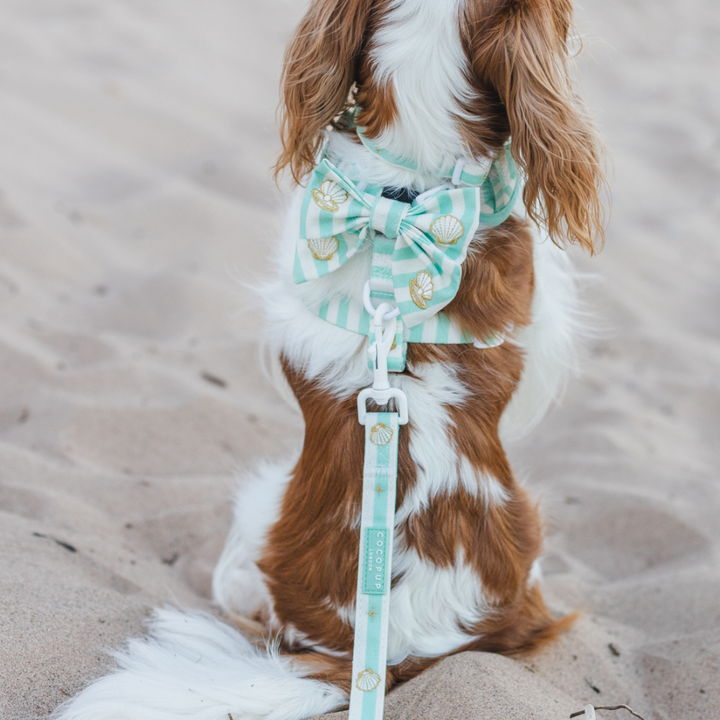 Mermaid Pearl Pup Sailor Bow Tie