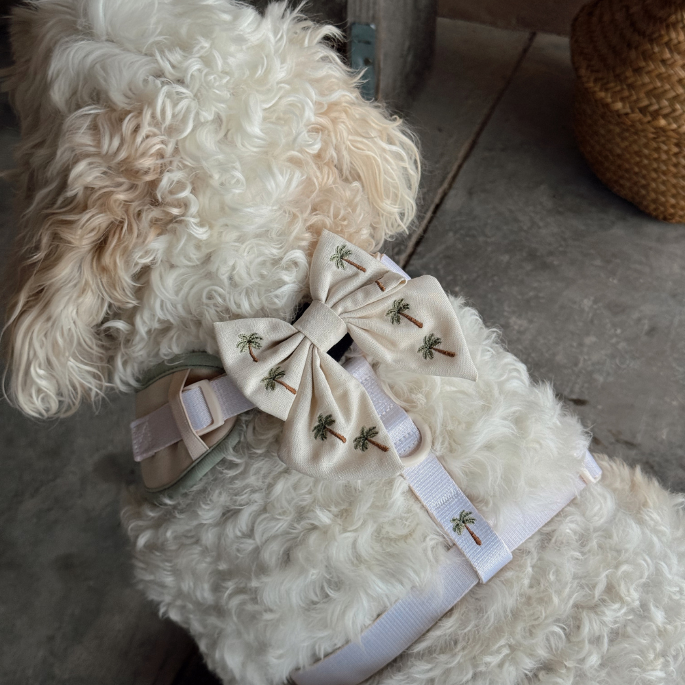 Palm Springs Sailor Bow Tie