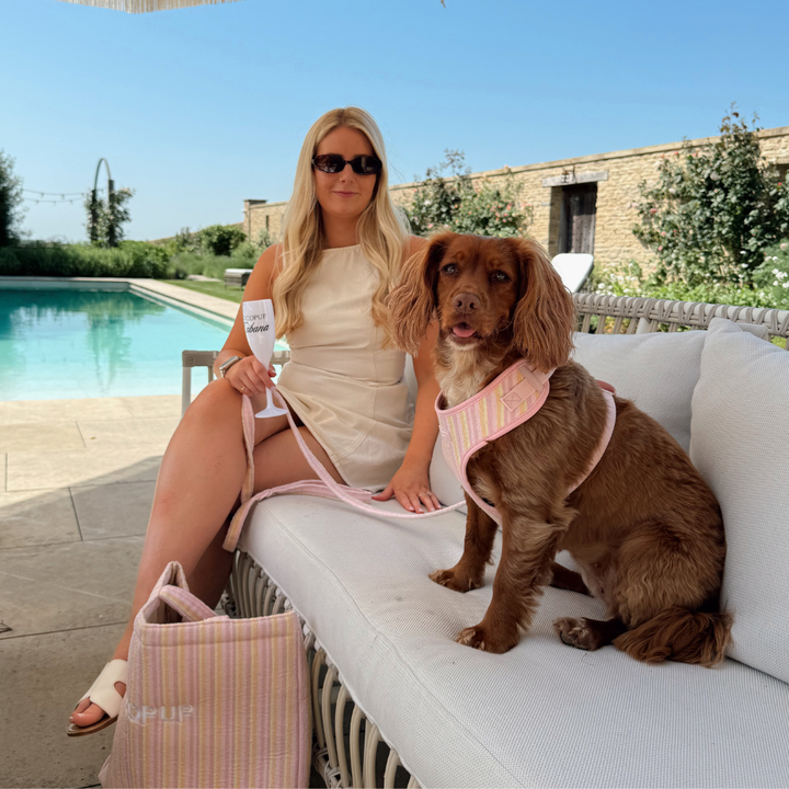 Pastel Stripes Adjustable Neck Harness, Lead & Collar Bundle