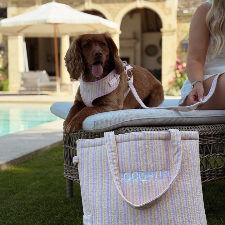 Tote Bag - Pastel Stripes