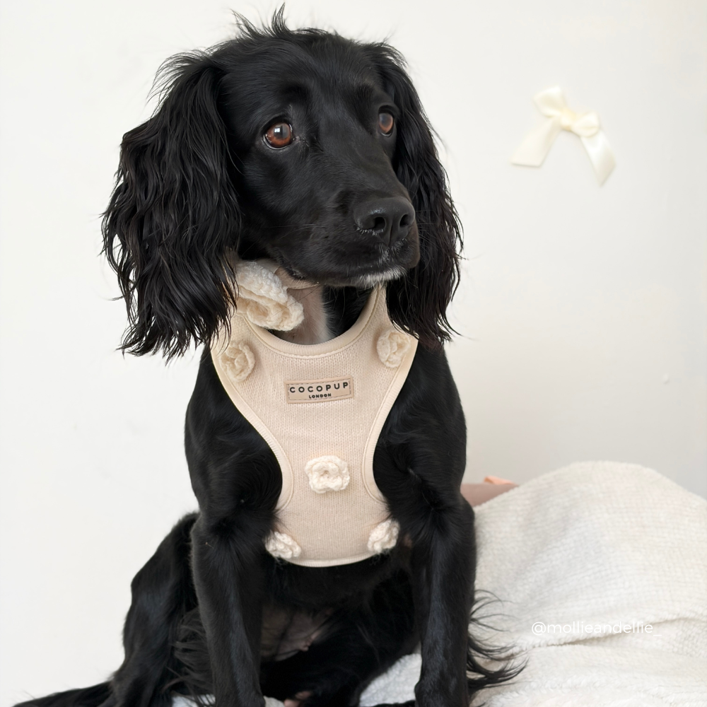 Petal Patch Adjustable Neck HARNESS