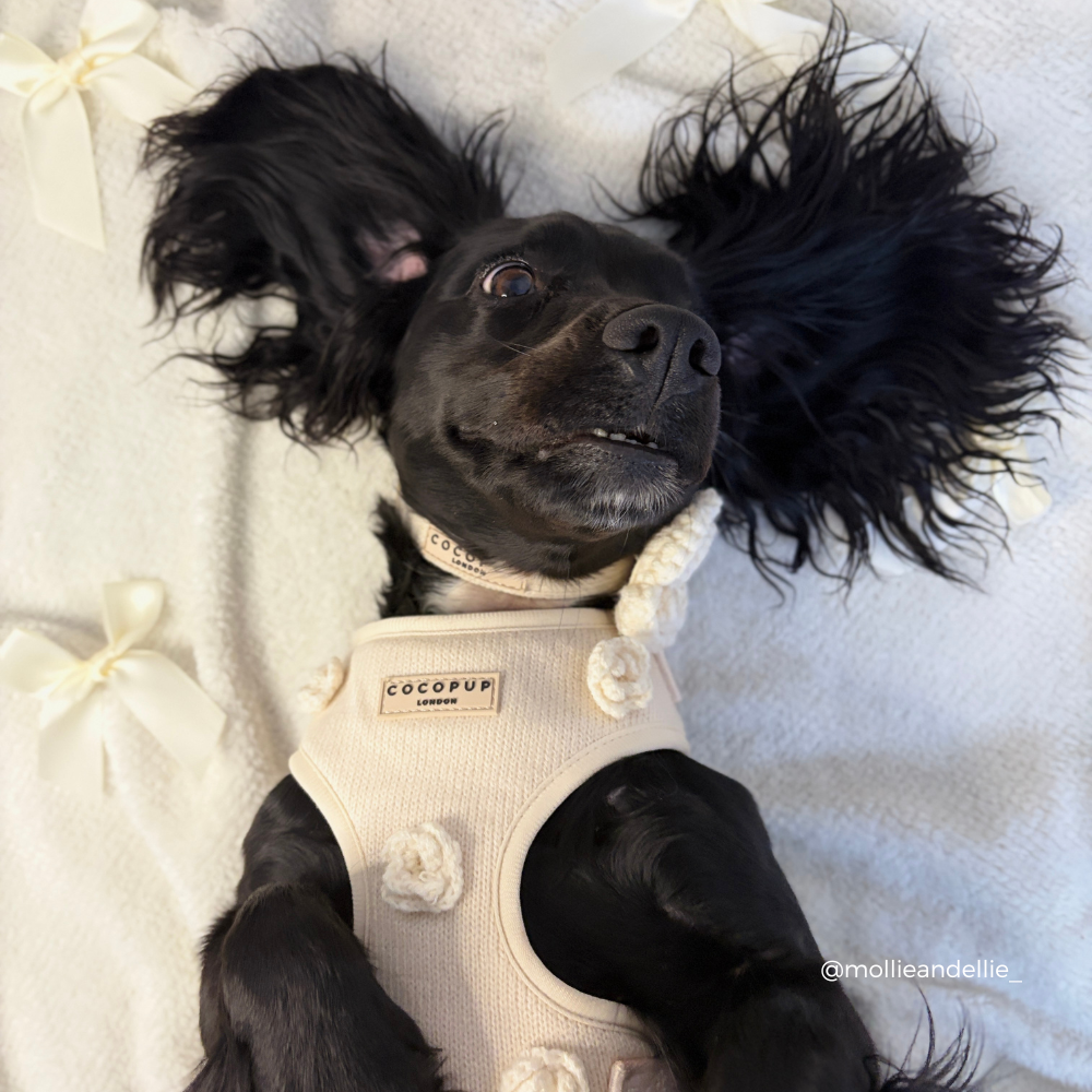 Petal Patch Adjustable Neck HARNESS