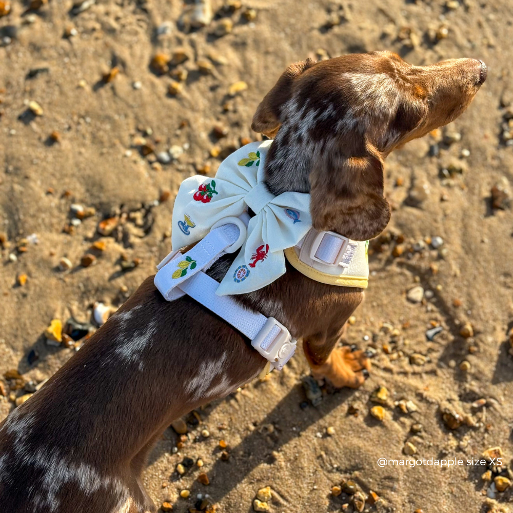 Picnic in Positano Sailor Bow Tie
