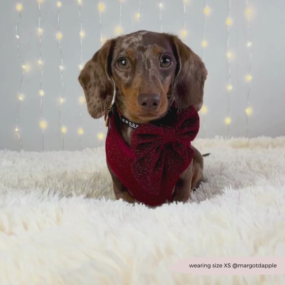 Limited Edition Burgundy Sparkle Pup Sailor Bow Tie