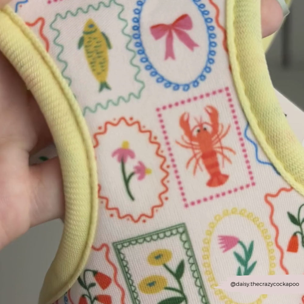 Dolce Vita Adjustable Neck HARNESS