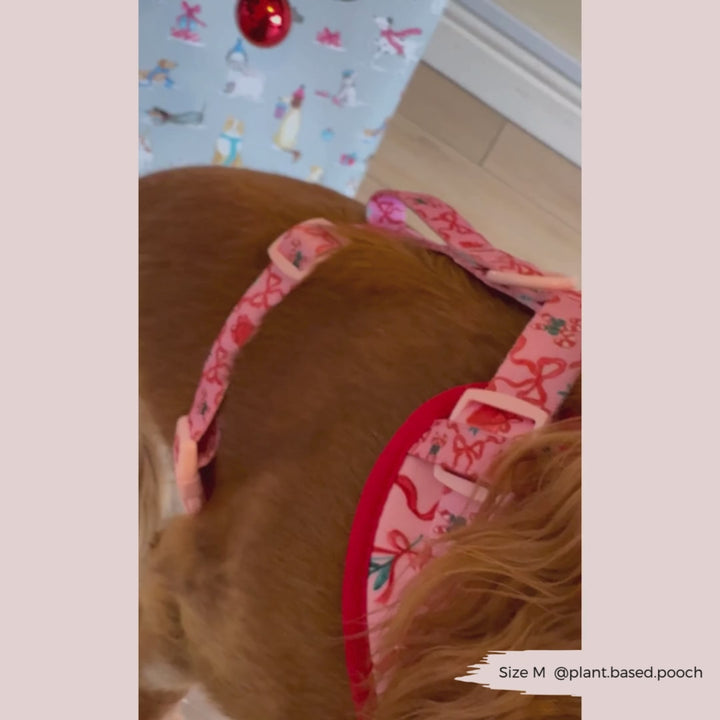 Pupmas Kisses Adjustable Neck Harness