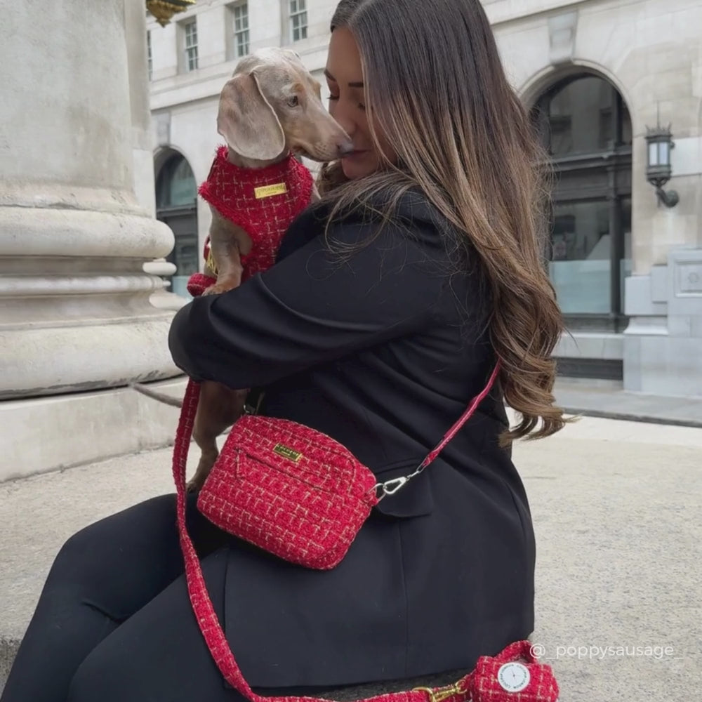 Dog Walking Bag - Red Textured Tweed