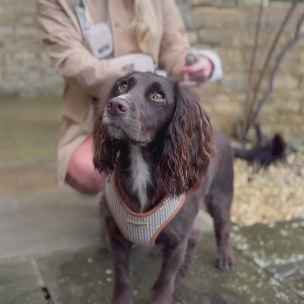 Cotswold Check Adjustable Neck HARNESS