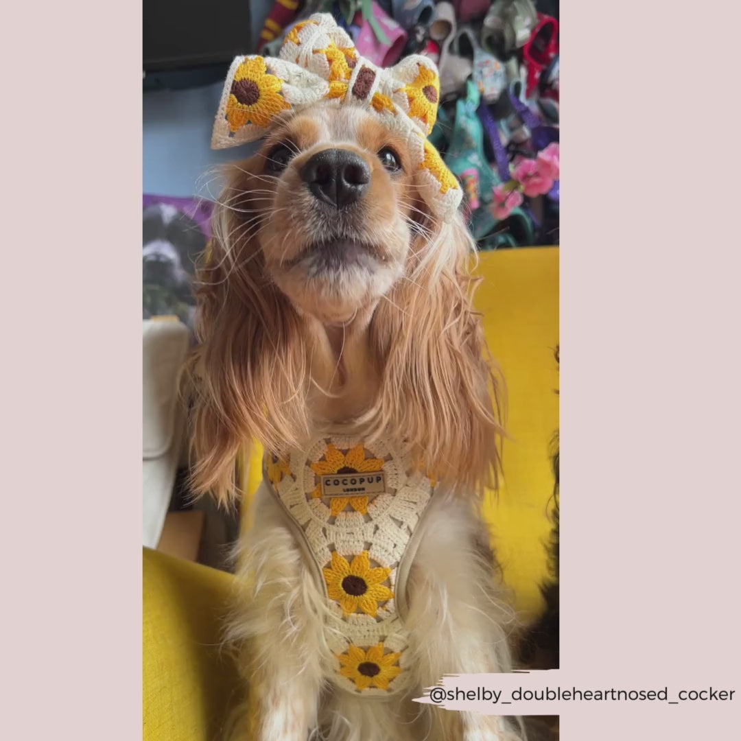 Sunflower Patch Adjustable Neck Harness