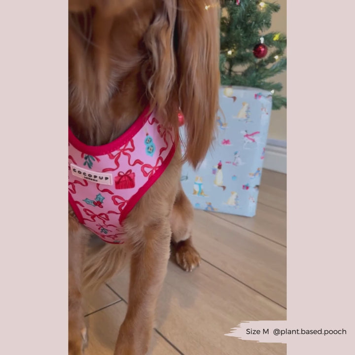 Pupmas Kisses Adjustable Neck Harness, Lead & Collar Bundle