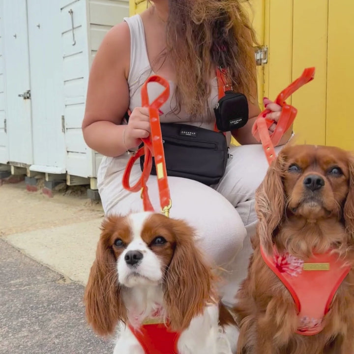 Dog Walking Bag Bundle - Coral Core Velvet