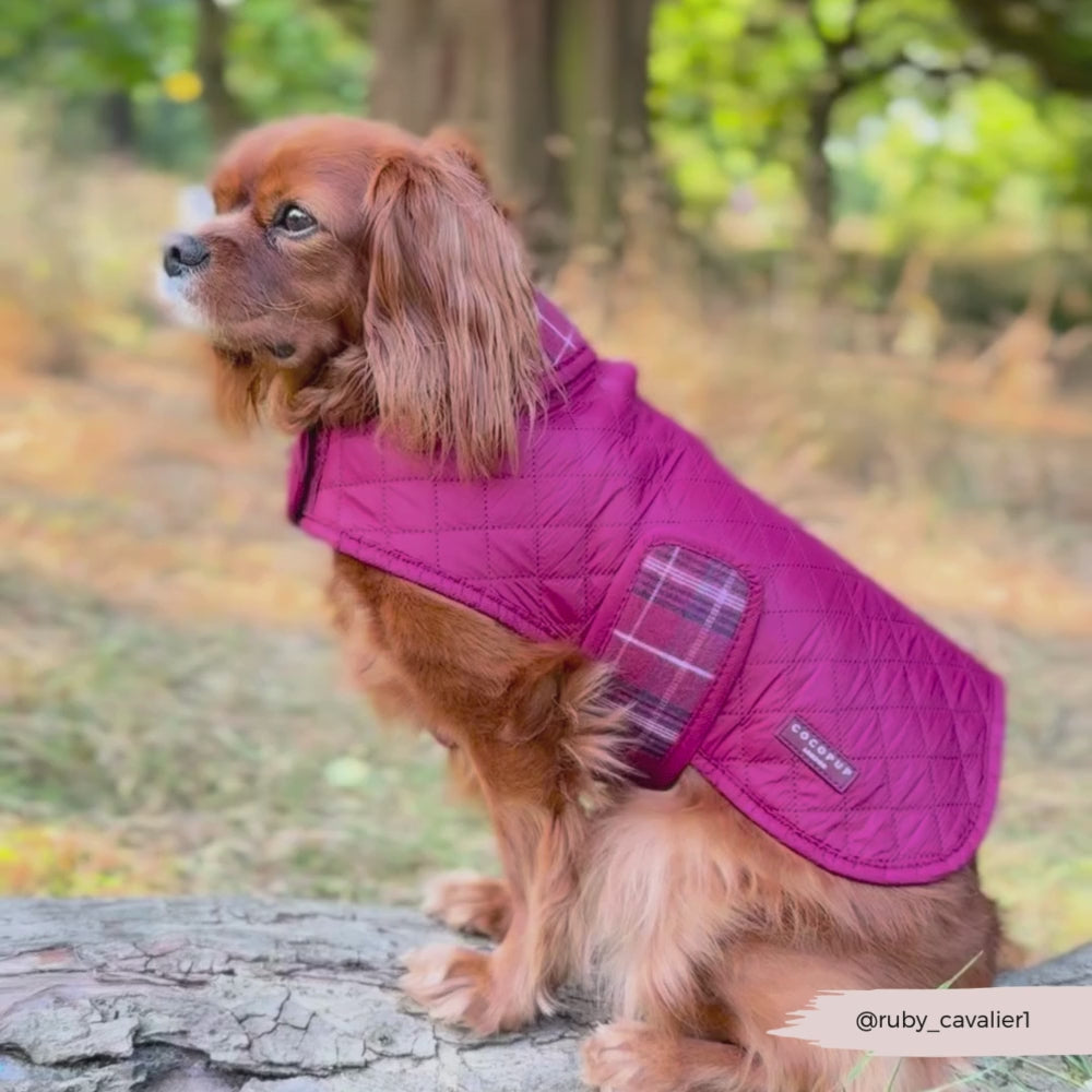 PERSONALISED Quilted Dog Coat - Mulberry Plaid