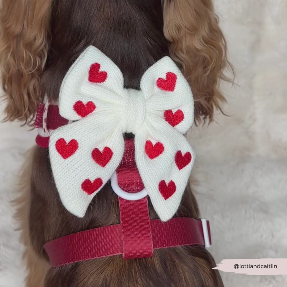 Hugs & Knitted Sailor Bow Tie