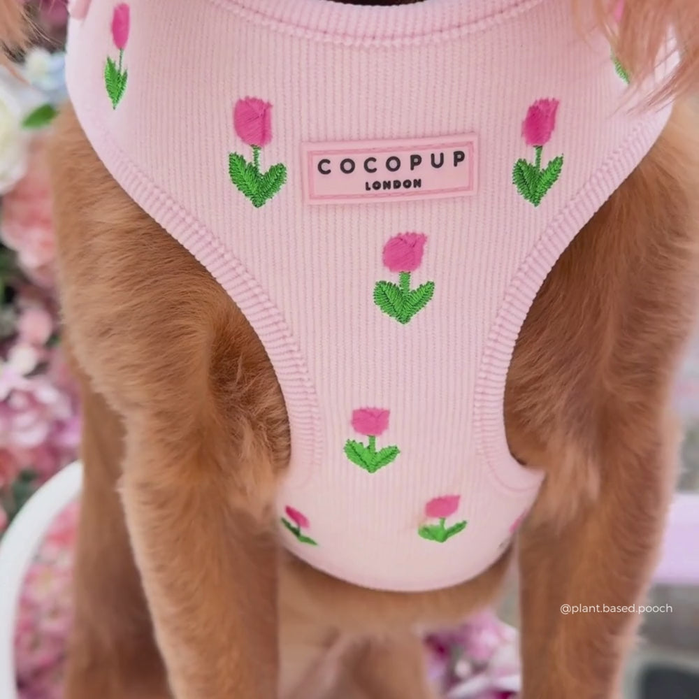 Tulip Tails Adjustable Neck HARNESS