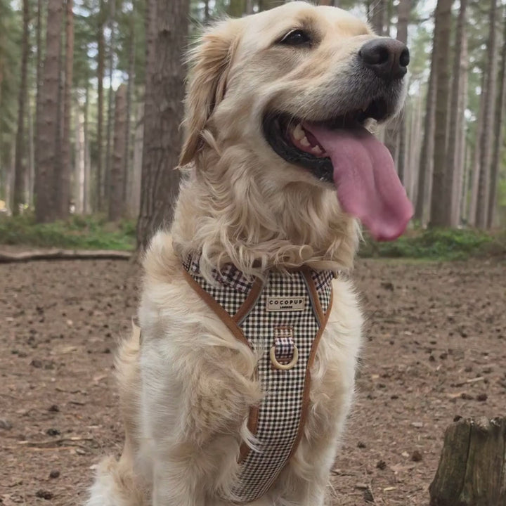 Explore Harness - Heritage Check