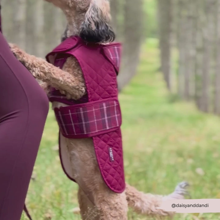 PERSONALISED Quilted Dog Coat - Mulberry Plaid