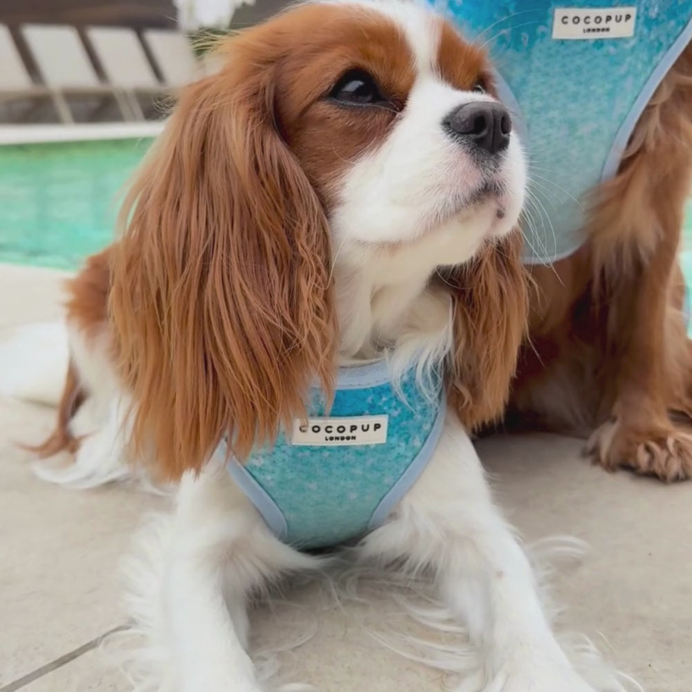Seaside Shimmer Adjustable Neck HARNESS