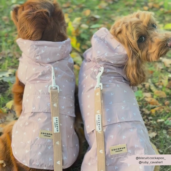 Dog Raincoat - Chai Hearts