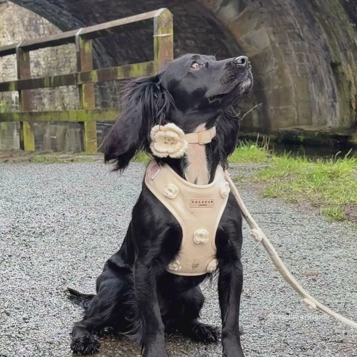 Petal Patch Adjustable Neck HARNESS