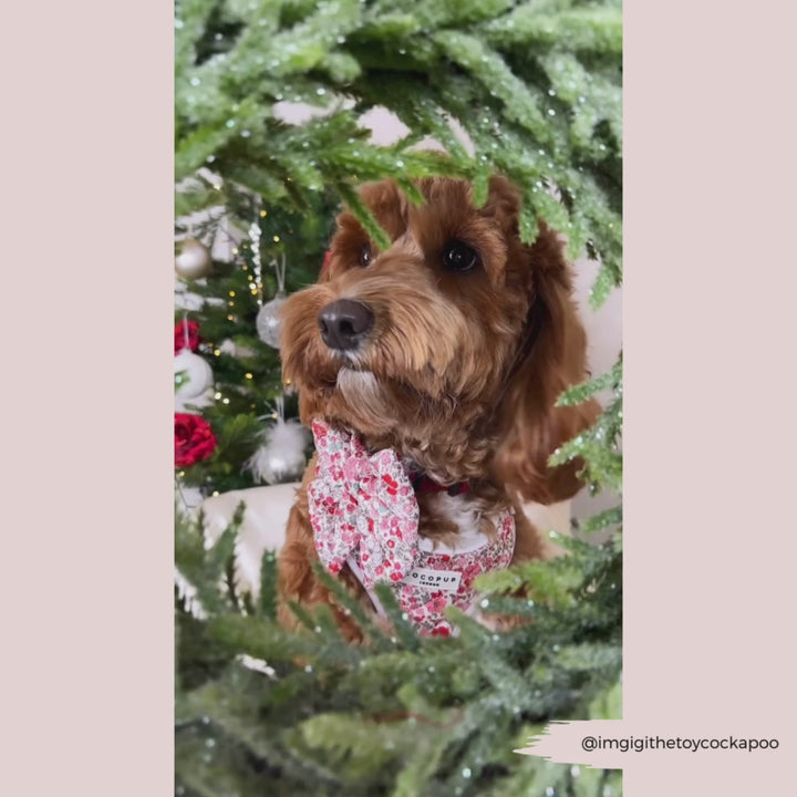 Quilted Christmas Flowers Adjustable Neck Harness, Lead & Collar Bundle