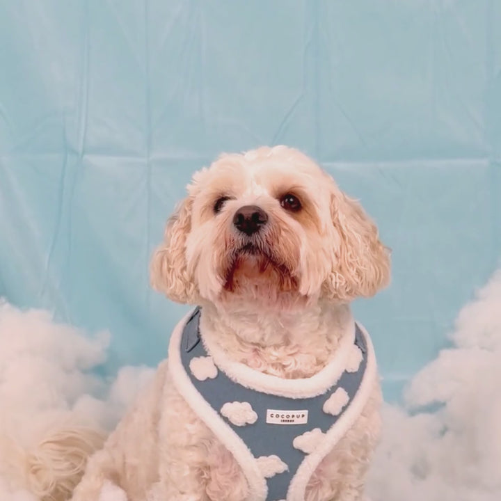 Cloud Nine Adjustable Neck HARNESS