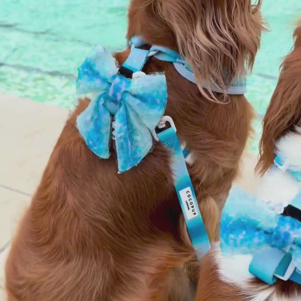 Seaside Shimmer Lead