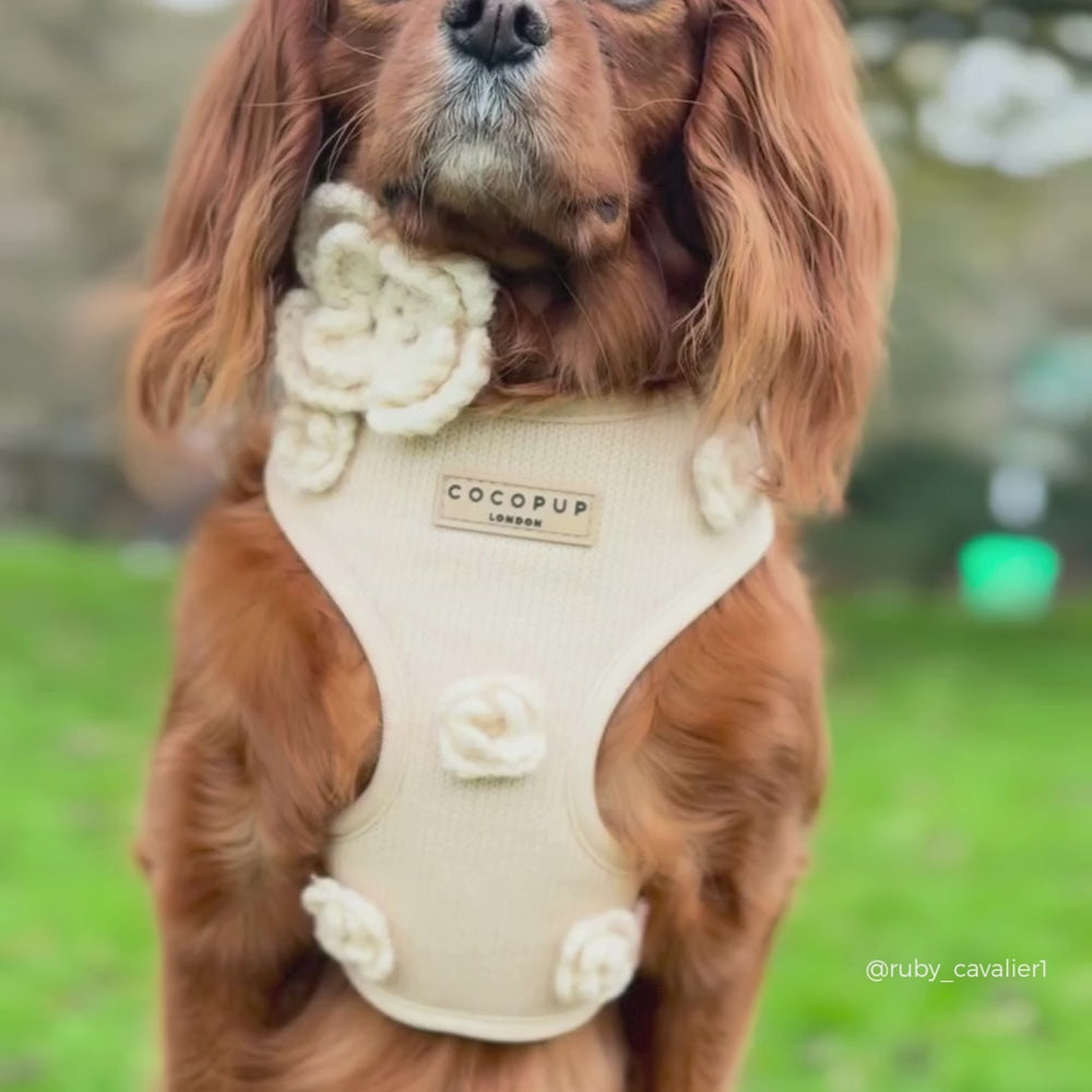 Petal Patch Collar Flower