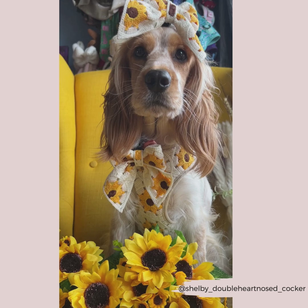 Sunflower Patch Adjustable Neck Harness