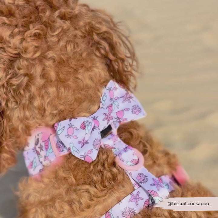 Pawcific Pink Reef Bow Tie