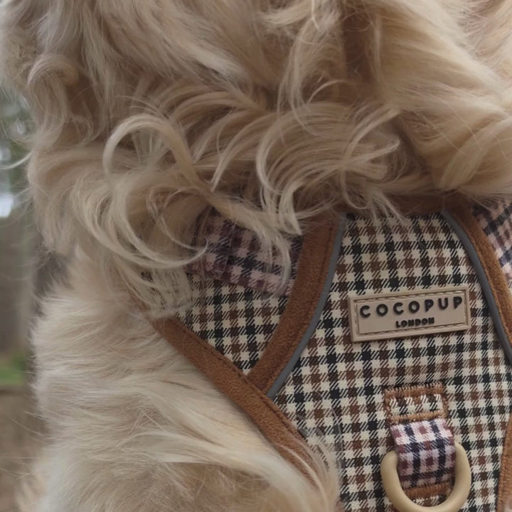 Explore Harness - Heritage Check