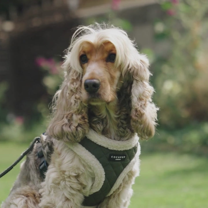 Khaki Quilted Adjustable Neck Harness