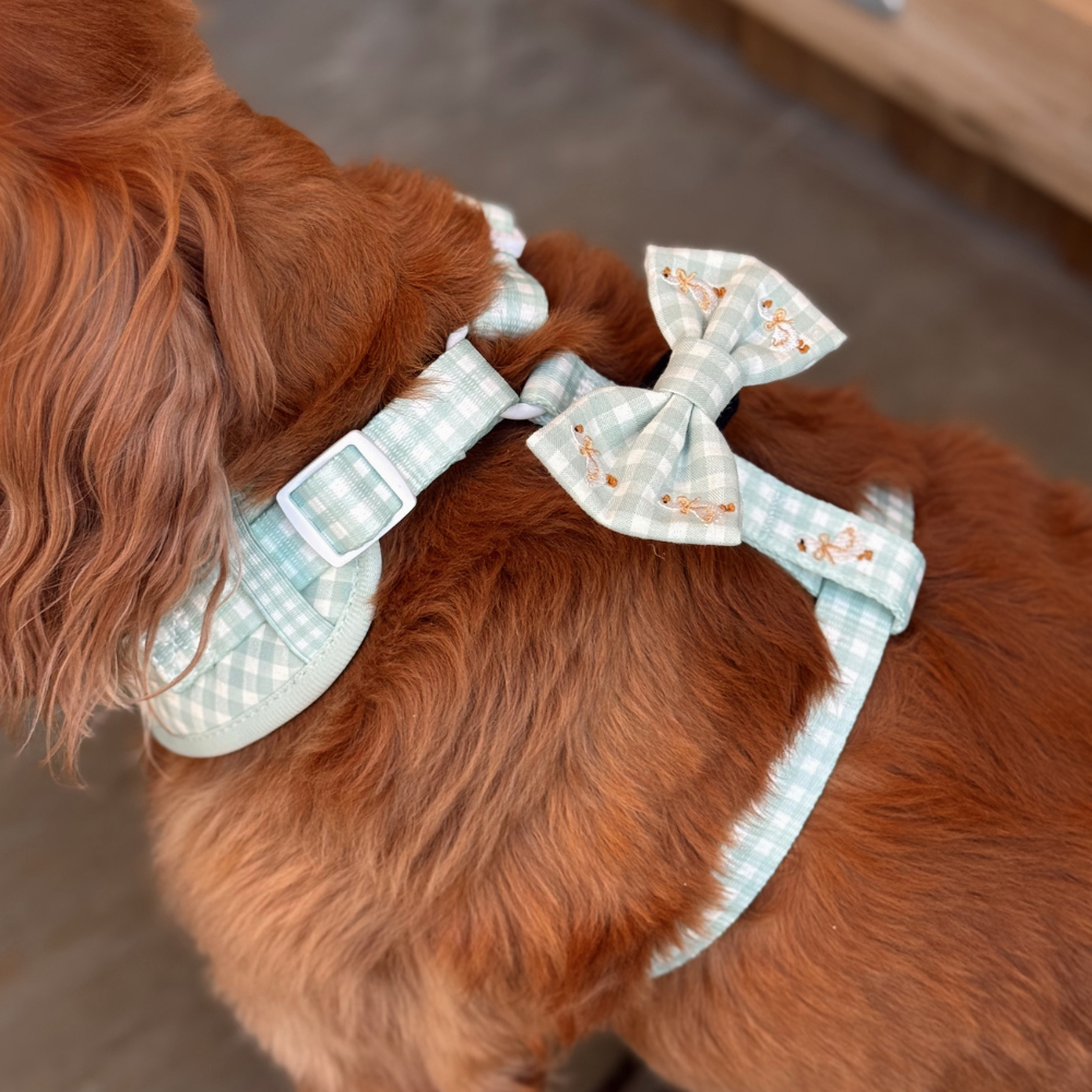 Silly Goose Bow Tie