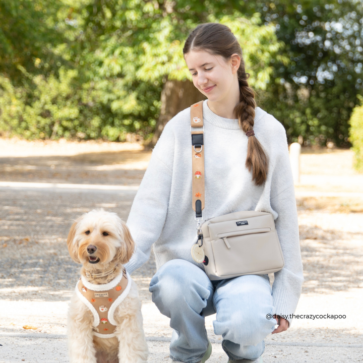 A woman crouches outdoors next to a small dog, wearing a light beige crossbody bag with a matching dog harness. The background is a softly blurred park setting with green trees and sunlight.
