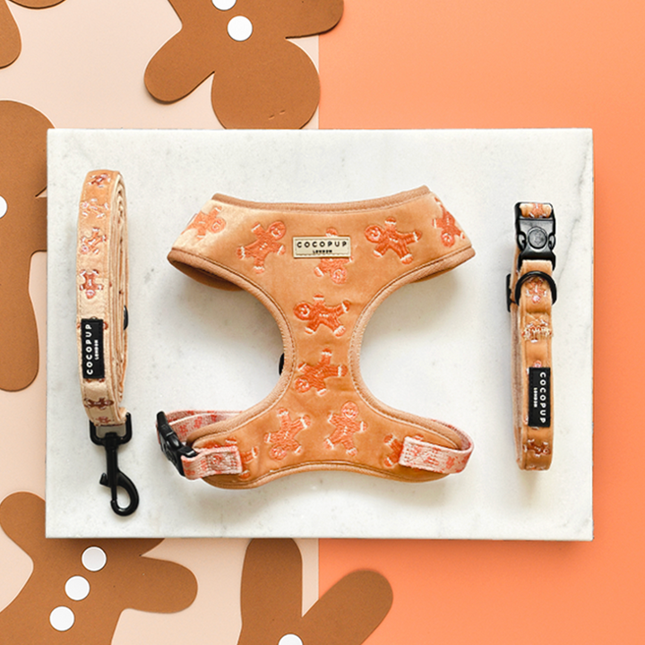 Luxe Velvet Adjustable Neck Harness, Lead & Collar Bundle - Gingerbread Treats