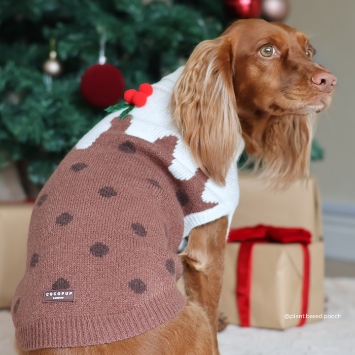 A brown long-eared dog wearing a knit Christmas-themed sweater with a brown polka-dot body, white yoke, and red berry accent, posed in front of a decorated Christmas tree with wrapped presents.