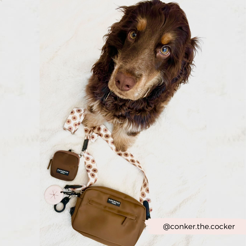 A brown and tan dog with long ears and a fluffy coat sits looking up at the camera next to a stylish dog walking bag and a matching small pouch adorned with the "Bag Strap - Sunflowers" by Cocopup London. The Instagram handle "@conker.the.cocker" is visible in the bottom right corner.