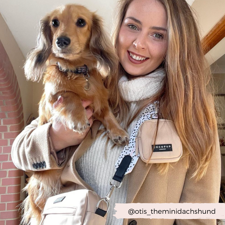 A woman in a beige coat smiles while holding a small long-haired brown dachshund. She has long light brown hair and is standing in front of a brick wall. The dog's accessories and the woman's Pink Dalmatian Bag Strap from Cocopup London are visible. The Instagram handle @otis_theminidachshund is tagged.